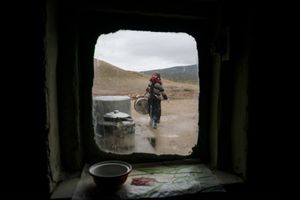 Daily life through the window.