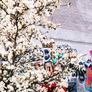The Sensible: Impressions from Copenhagen #9