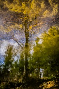 Liquid Sky 09