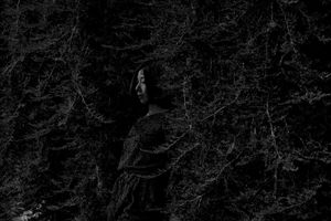 wandering016