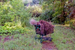 Food Basic Shopping Cart