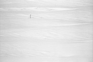 Nel Bianco