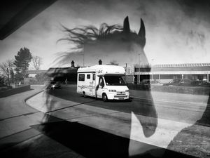 Horse Power