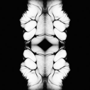 The Beast of Beirut (2015). From the series “The Imponderables”.