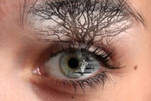Through my eyes 8