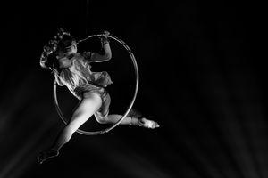 Aerial Art - Elegance - Lucioza