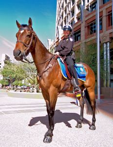 Mounted Patrol Unit