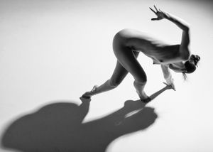 Shadows Series #22