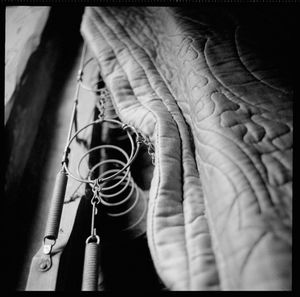 © romano p. riedo | fotopunkt.ch