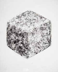 Cube Study