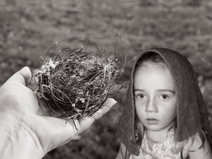 The Horse Hair Nest