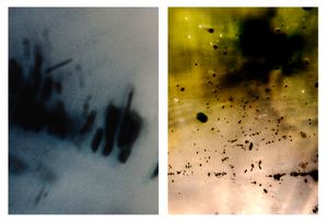 Dissociated #18