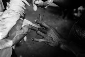 The spur is tightly fixed in a precise manner. The angle and the forward position of the sword depends on the “handicap” or not of the cock and his oponent.
