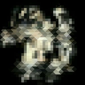 Metamorphosis 7