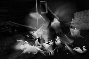 Nervousness / Russia, Samara, 2013