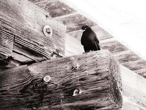 Kure Beach 22