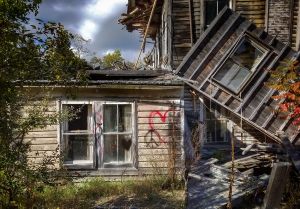 Peace & Love at the Cold Spring