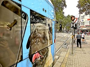 "COLOGNE STREET LIFE"