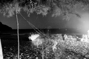 Beach by night