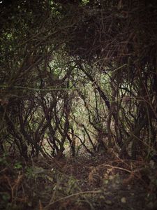 Quiet Isolation | Outland | Salina, Sicily | No. 7