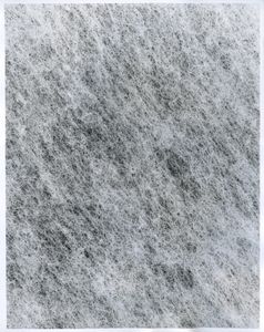 Fleece No.2 - from the series "IT'S POSITIVE TO BE NEGATIVE"