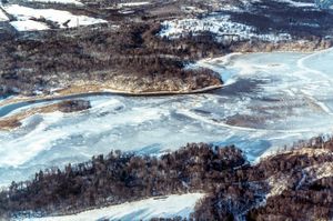 Cootes Paradise in Winter