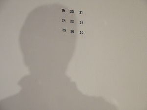 shadow-self, Pulitzer Foundation, St Louis, Missouri, 2019,