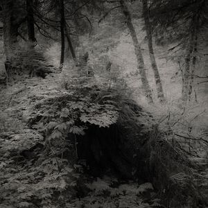 Shelter