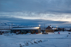 Jette and Kole returning home after playing in the snow in their new home ranch. O'Toole Ranch, Nevada 2016