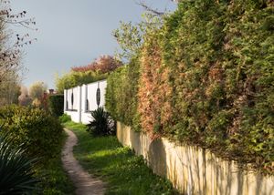 Champigny