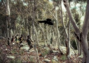 Black Birds and The Bushmen V