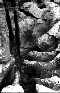 Untitled IV