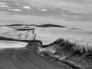 Palouse Patterns 4 2019
