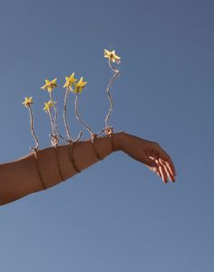 esprimi un desiderio