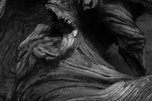 Echoes