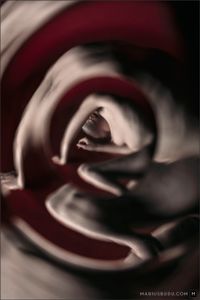 Lilith 02