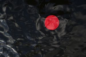 Axis (of Arcturus)