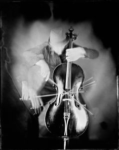 CELLO #08