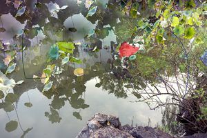 Suzhou 1, artist proof 3