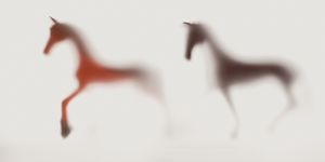 Wild-blur-horses-14.jpg