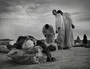 Near Hilla, Iraq (2003). A history of violence. The Mahawil mass grave.
