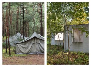 Tents in the Forest & Houses in the Forest