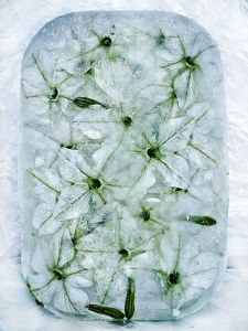 Cold V