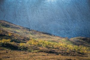 Autumn at Gjendesheim © Gunnar Kopperud