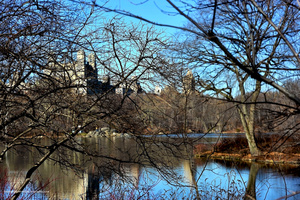 New York, central park