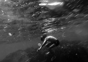 Notes from the Edge of of the Sea