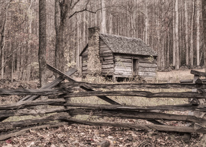Jim Bales Cabin