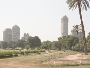 Quiet Isolation | Intraurban | Cairo | No. 1