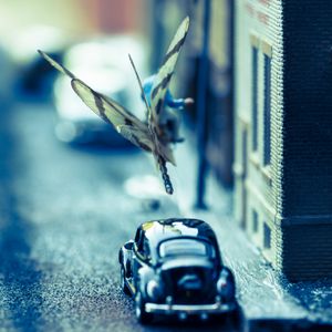 Dragonfly and VW  Beetle