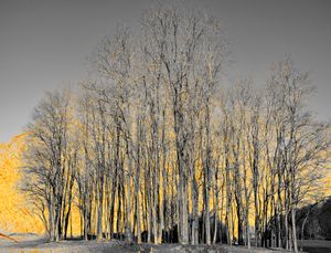 Artificial Sunrise
